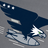 Wing