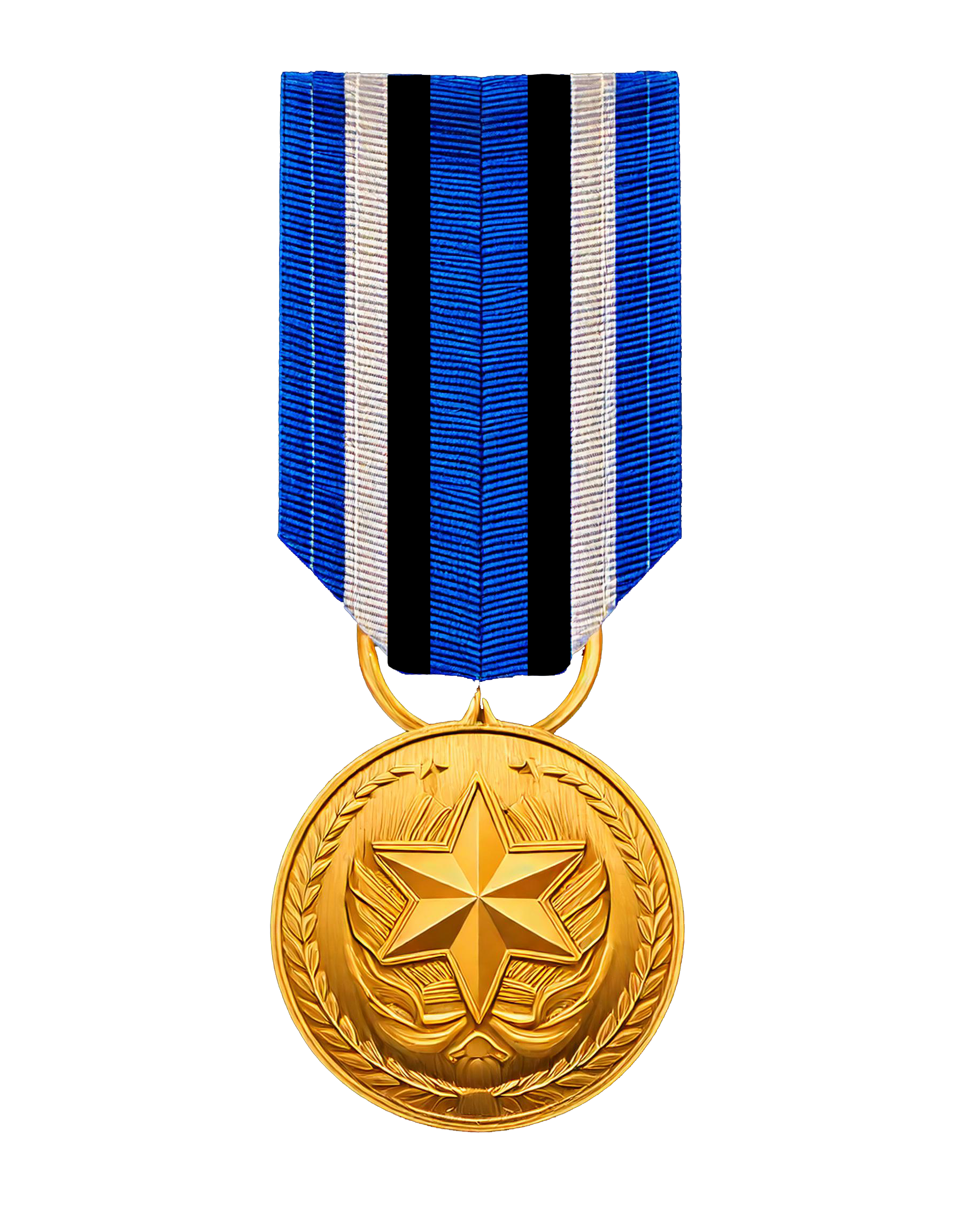 Operation Hedge Of Protection Campaign Medal