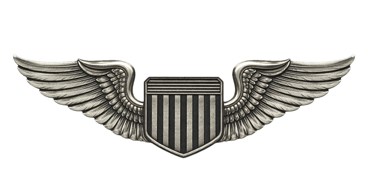 Pilot / Basic Mission Qualified (BMQ) Certification