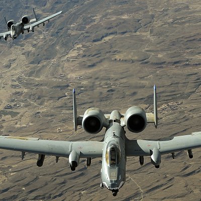 Warthogs.jpg