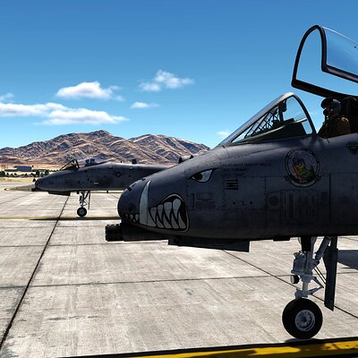 MATTY NOSEART