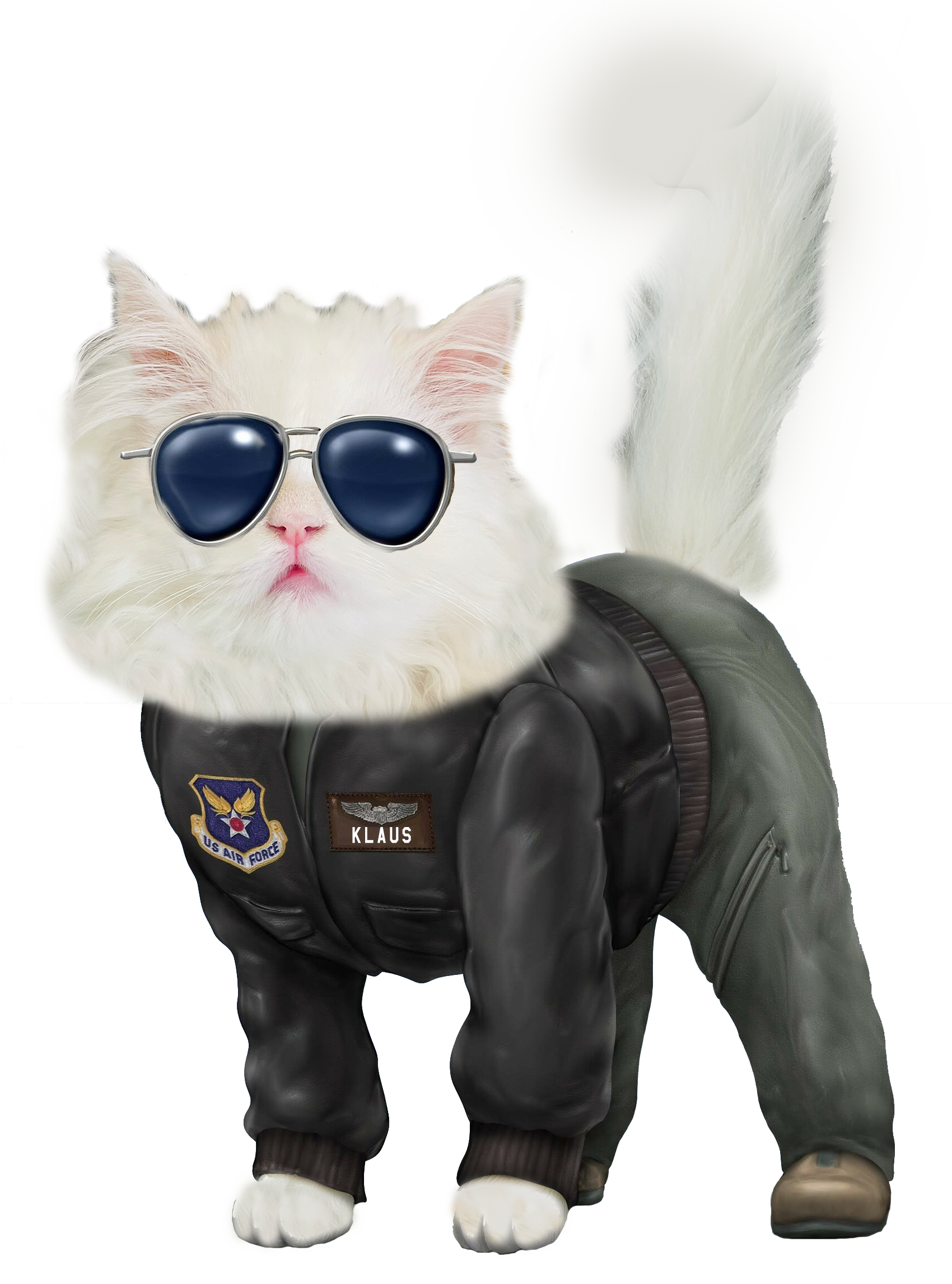 Klaus the 482vOG Cat