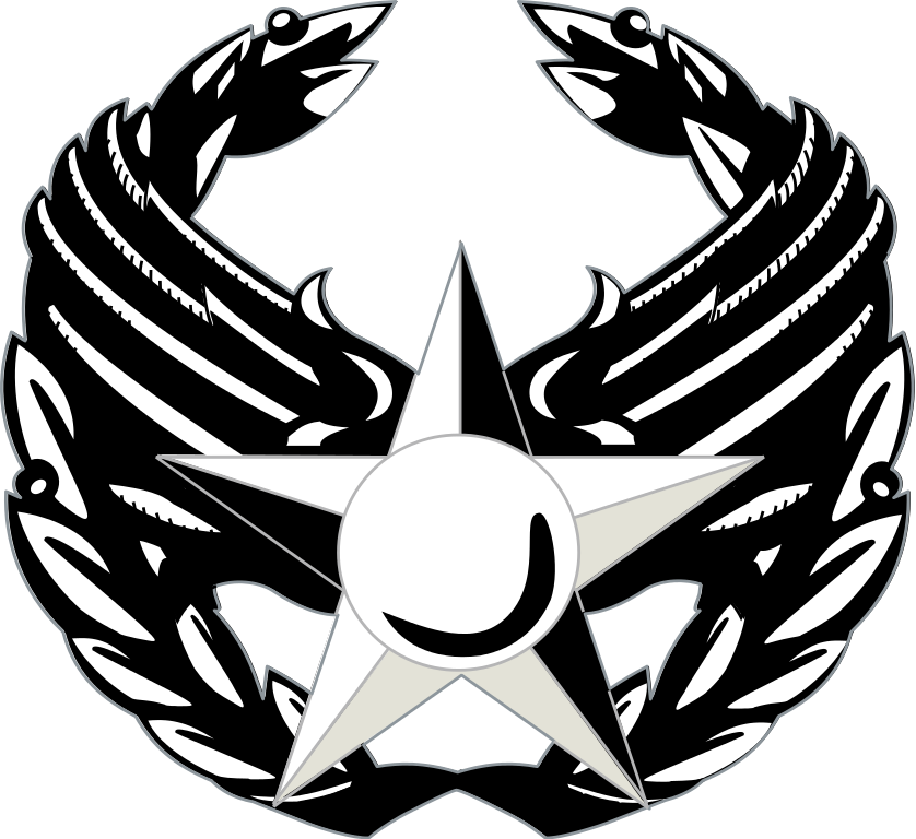 482d Virtual Operations Group command emblem